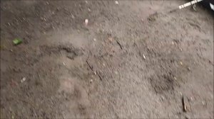 Наглядный пример монтажа на осетра. Клёвое место лосиный остров.