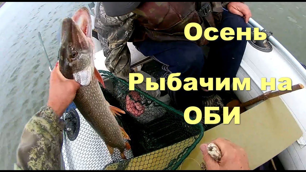 Рыбачим на Оби осенью смотреть онлайн