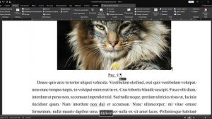 1. Автоматическая нумерация рисунков в Word
