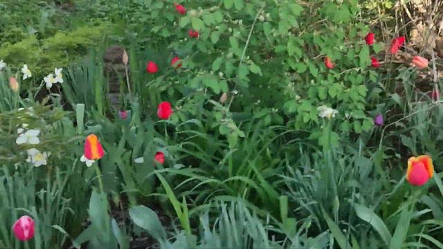 Вот почему дорогая вода У нас смотреть онлайн