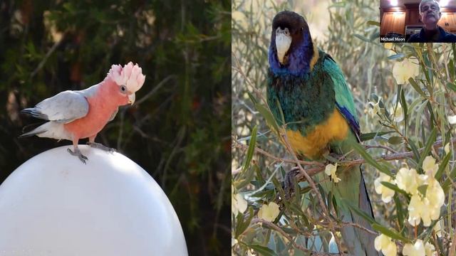 Tell Us About Your Travels Australia and the Outback смотреть онлайн