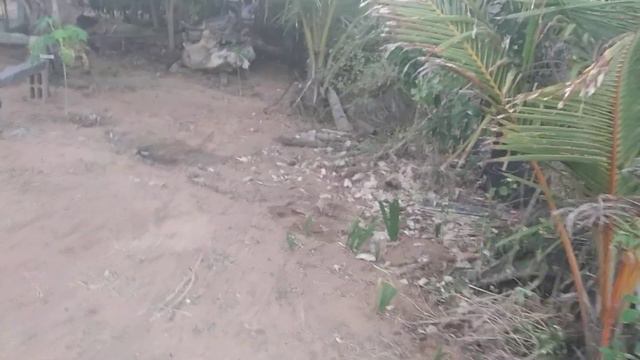 Как уйти от панических атак. Пора выбрать жизнь в вашем воображении и тогда ваш покой вам обеспечен смотреть онлайн