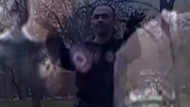 Канкиро Додзё, "Танец Шивы" смотреть онлайн