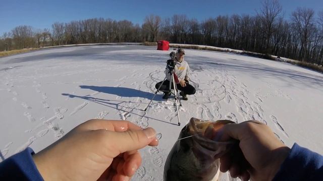 Tip UP Ice Fishing for Pike AND Bass 2019 смотреть онлайн