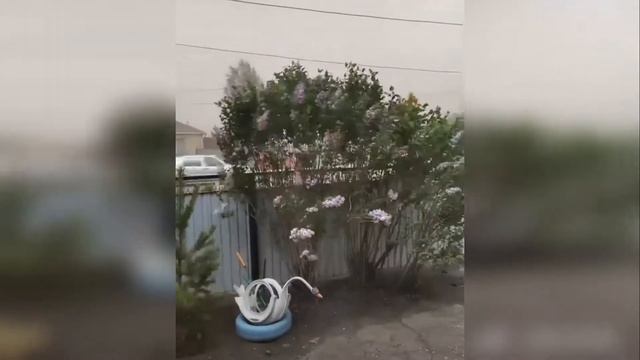 лето 2021, начало смотреть онлайн