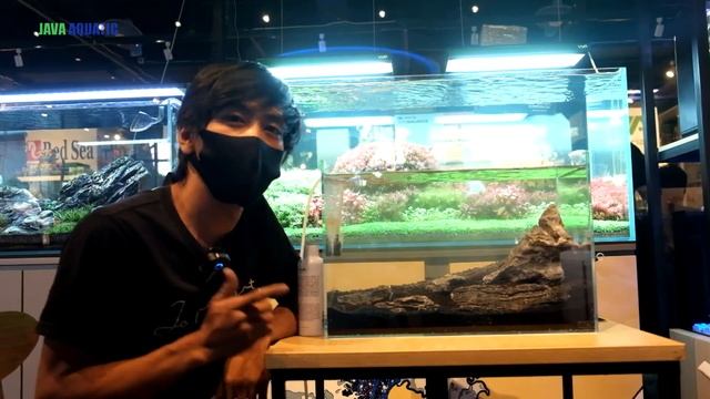 SETTING AQUASCAPE NATURAL DI GALERI JAVA AQUATIC! смотреть онлайн