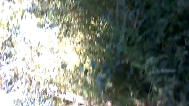 В Серебряных прудах полноводье