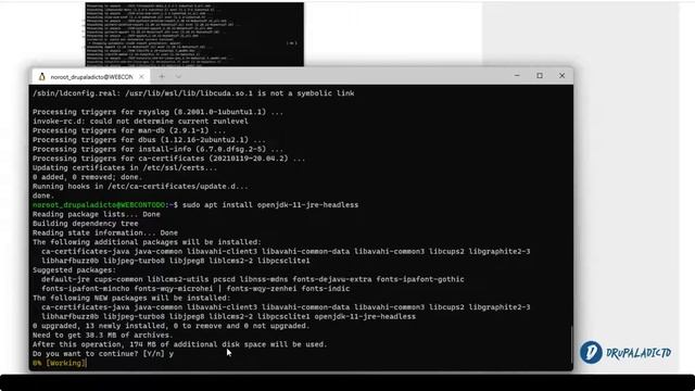 Apache Solr - Instalación en Ubuntu 20.04 con WSL2 смотреть онлайн
