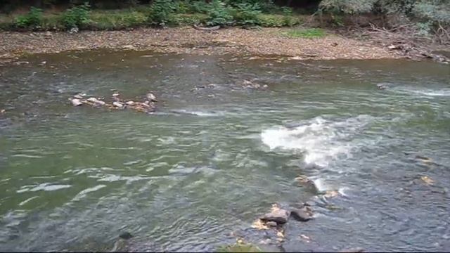 Ижевск. Река Иж