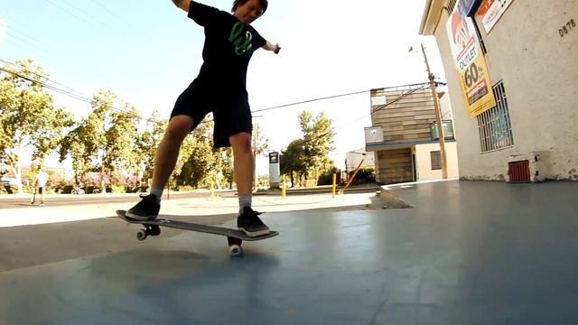 Life Skateboarding - Stay Wild Line