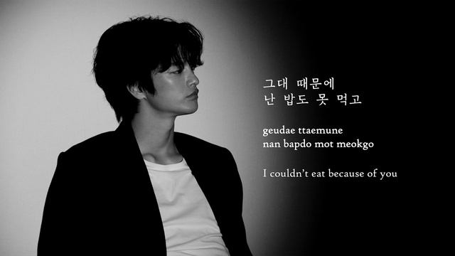 SEO IN GUK (서인국) - WITH LAUGHTER OR WITH TEARS (웃다 울다) || LYRICS [HAN/ROM/ENG]