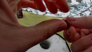 Ловля подуста в начале марта и супер голавль на закате!