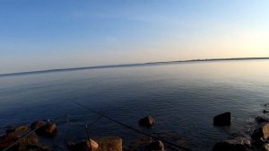 Рыбалка в СПб и Ленобласти Дамба (новые места)