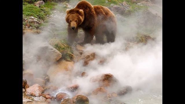 Камчатка-долина гейзеров смотреть онлайн