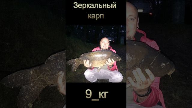 Какой был раньше клёв, без кино съёмки ))) #shorts #старые_фото_с_рыбалки смотреть онлайн