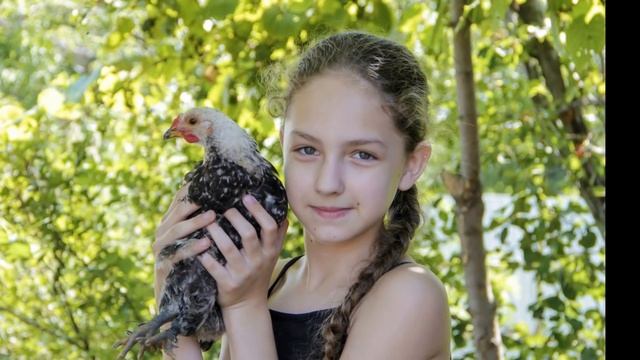 У бабули в гостях. Небольшой видеоролик о бабушкиных питомцах))) смотреть онлайн