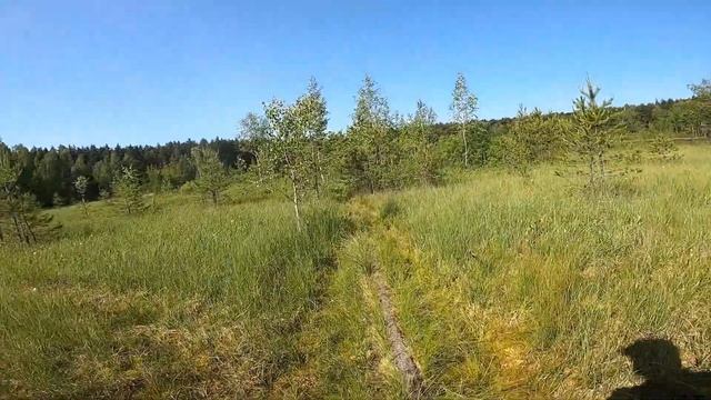 Из Звенигорода в Красногорск на велосипеде смотреть онлайн