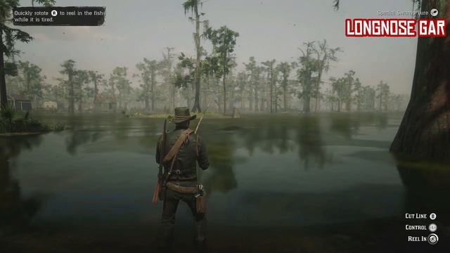 Red Dead Redemption 2 - All Legendary Fish / A Fisher of Fish (Stranger Mission) смотреть онлайн