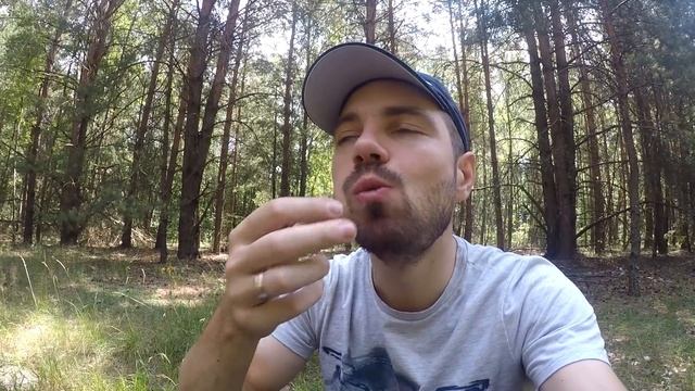 НАШЕСТВИЕ БЕЛЫХ ГРИБОВ ИЮЛЬ 2018|Часть2 смотреть онлайн