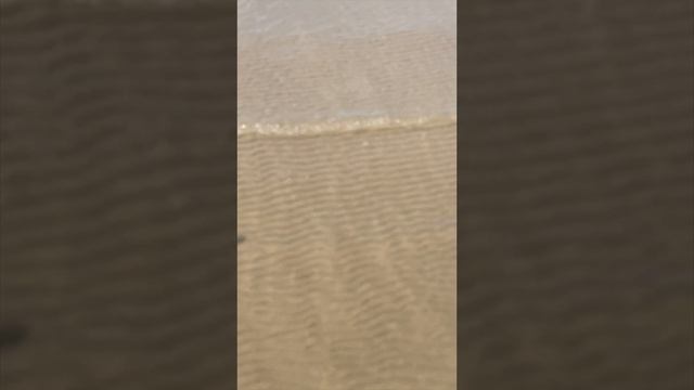 ЕЙСК. Прогулка по Ейску. Пляжи Ейска. Жизнь на море в нашем домике на Азовском море смотреть онлайн