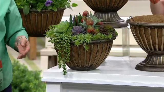 Ultimate Innovations S/2 AquaSav Hanging Basket & Urn Set On QVC