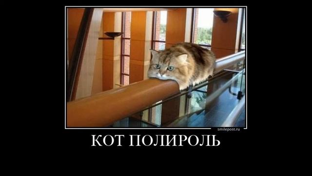 Ржачные приколы Русские демотиваторы. Жопы много не бывает! BEST Demotivators. смотреть онлайн