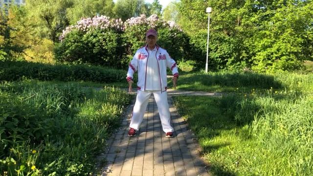 Ицюань / Yiquan (166 день). Обзор методов Ицюань / Московская Школа Ицюань смотреть онлайн