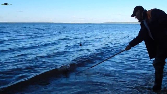 Рыбалка на Волге в июне с берега. смотреть онлайн