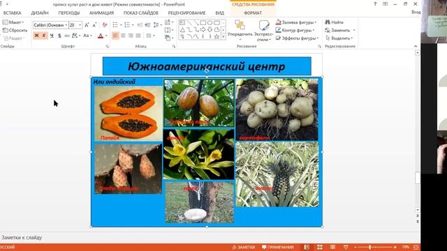 Запись урока биологии в 11 классе: Центры происхождения культурных растений и домашних животных смотреть онлайн