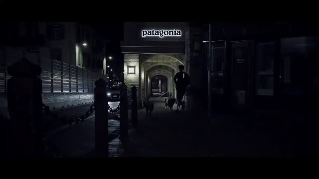 Поводки и шлейки Hurtta Dazzle Rope для собак смотреть онлайн
