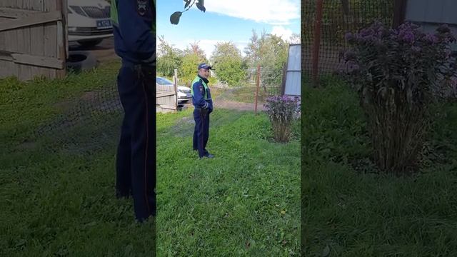 ДПС, не знающий закона в Великих Луках смотреть онлайн