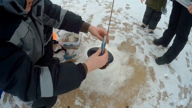 Отдых в Конаково на базе Веточка