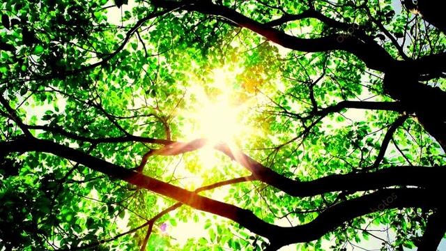 Прощание с дуальностью. Полностью отпустить старую жизнь с ее привычками, шаблонами и стереотипами.