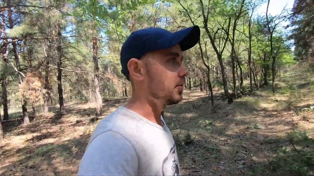 Что Растёт В Лесу В Засуху? Ищу РЫЖИКИ Под Своим Деревом! Есть Ли ОНИ Там? Поиск ГРИБОВ В Июле! смотреть онлайн