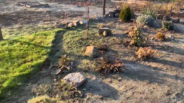 Покос газону на зиму🌿 смотреть онлайн