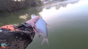 Мормышинг. Шнур от DAYO NANO ВRAID nanofilament