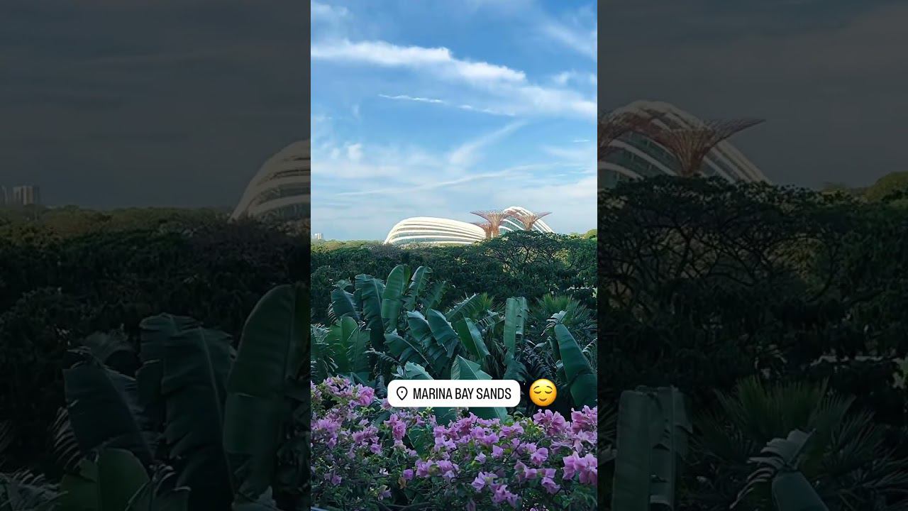 XOLIDAYBOY Океаны Сингапур Stories Ивана в ИГ 11.05.24 #xolidayboy#иванржевский#иван#океаны смотреть онлайн