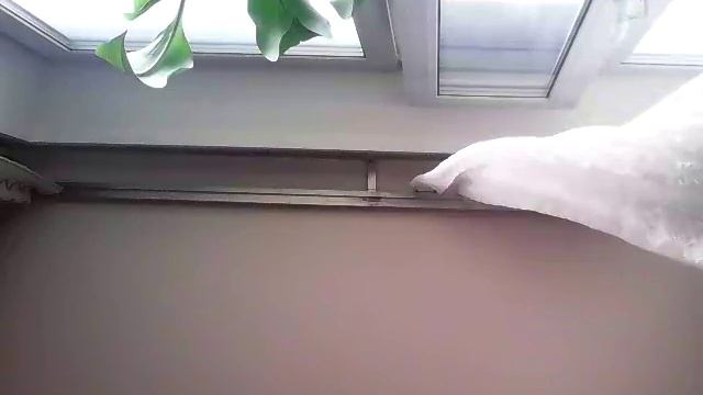 Челендж нарисуй животное на лице (читать описание) смотреть онлайн