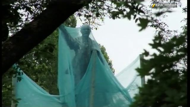 Мэрия Краснодара обсудила с экспертами проекты озеленения и благоустройства смотреть онлайн