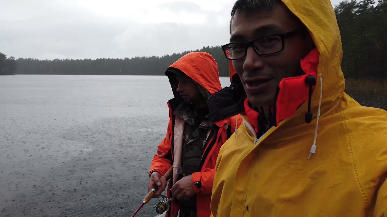 Плетневое озеро. Ленинградская область. Рыбалка и отдых