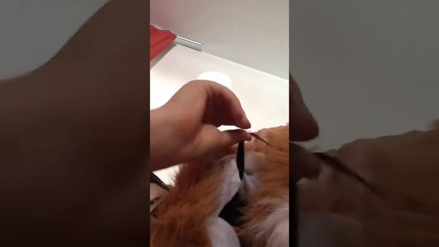 How to put on your mouth mover fox mask смотреть онлайн