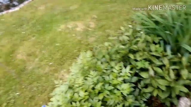 Дача tour / Как бесполезно провести выходные) смотреть онлайн