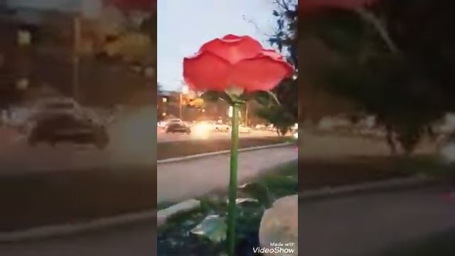 УСТАНАВЛИВАЮ УЛИЧНЫЕ СВЕТИЛЬНИКИ | Наталья Васянина смотреть онлайн