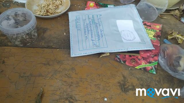 Семена. готовлюсь к сезону 2022. смотреть онлайн