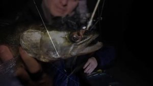 Ночная ловля судака на воблеры. Андрей Питерцов