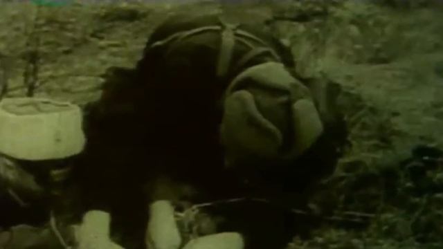 Имя Брянщины Дмитрий Емлютин смотреть онлайн