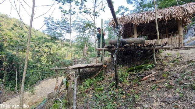 Survive In The Wilderness, Make Outdoor Tanks Out Of Bamboo | Triệu Văn Hào смотреть онлайн