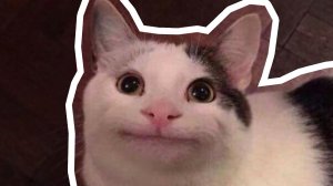 ВЕЖЛИВЫЙ КОТ — ОТКУДА МЕМ?