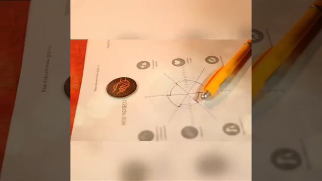 Репортаж о настольной игре "Колесо замужества" смотреть онлайн