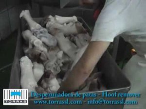 Очистка ног КРС + копытосъём (Torras, Испания)